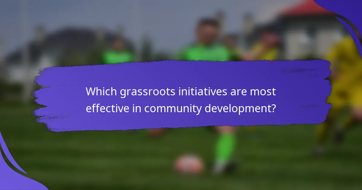 Which grassroots initiatives are most effective in community development?